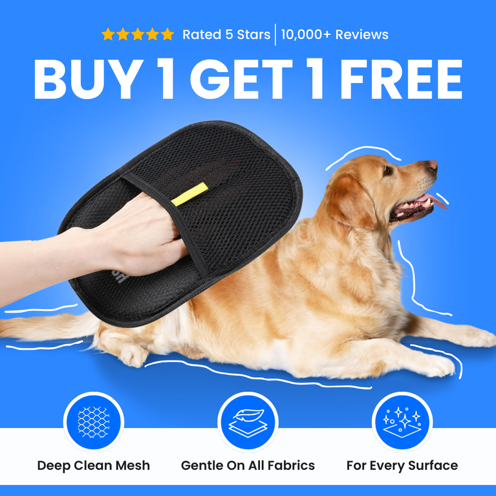 WiggleWorks™ Pet Hair Remover Gloves